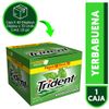 Trident70_Yerba_FOP_40x70-18g